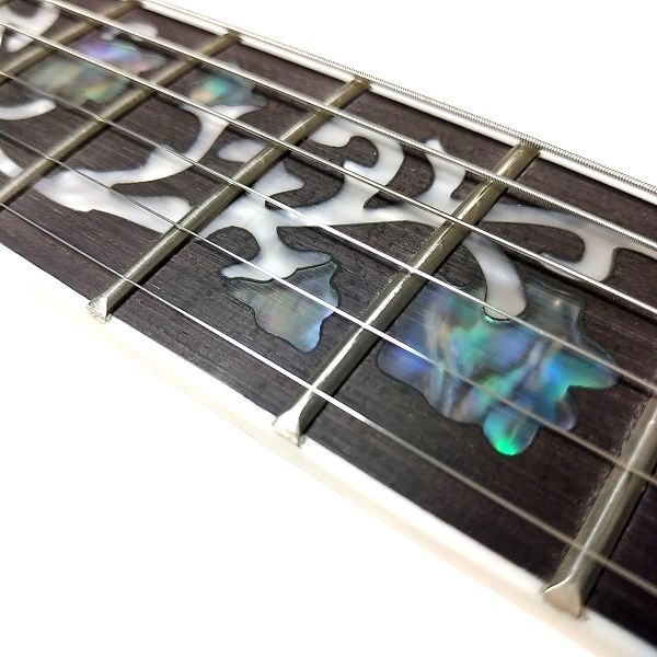 ZUWEI テレキャスタータイプ 安ギター 指板とフレットの汚れ