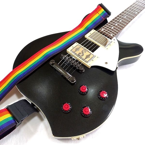 レインボー ギターストラップ 付け比べ  D'Addario / PWS111 Rainbow Poly-Pro Guitar Strap-1