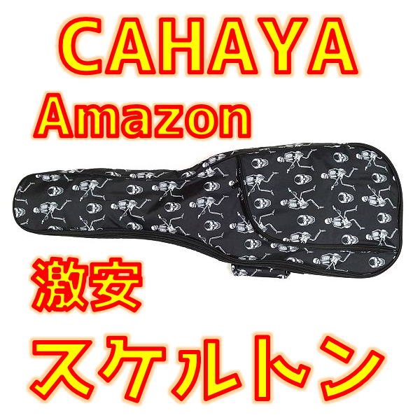 Amazon激安 CAHAYA【スケルトン図】エレキギターケース 総評