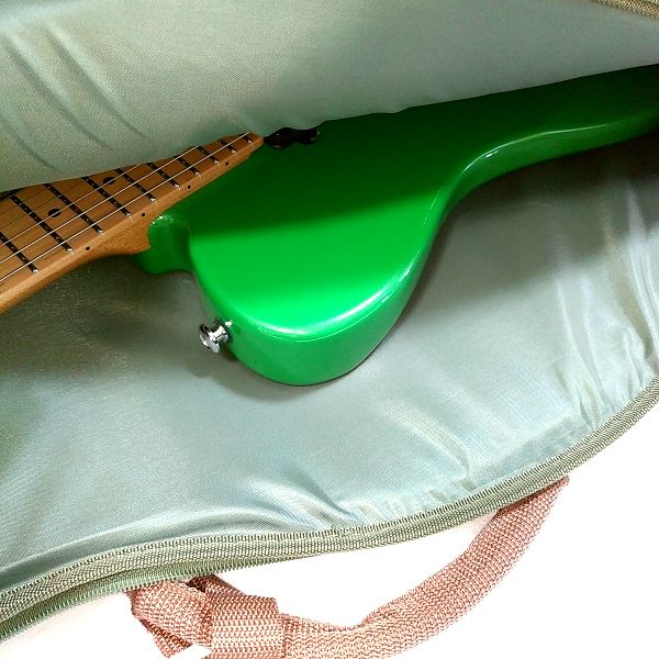 収納チェック：Ibanez IGB541 お洒落で可愛いエレキギター用ギグバッグ レギュラースケール EART T-380 その2