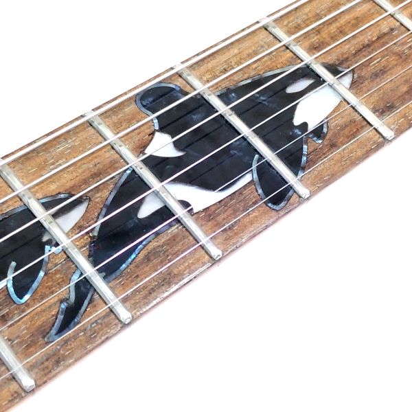Vertice VEG-04ST Amazonや楽天で存在感を放つ属性爆盛り安ギター まとめ 低価格帯ギターに手を出す際の注意事項