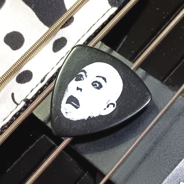 Sago 人間椅子 鈴木研一 シグネチャーピックレビュー｜ご尊顔印！極悪