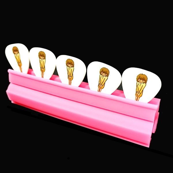 飾って楽しむ PLAYTECH (プレイテック) サウンドハウスお姉さんピック その1