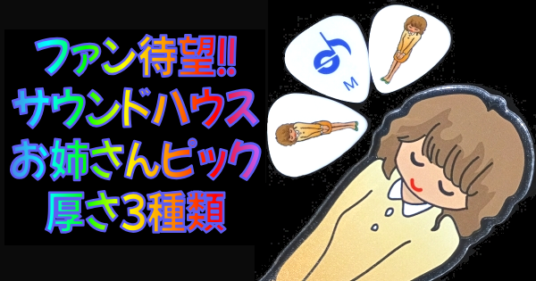 PLAYTECH (プレイテック) サウンドハウスお姉さんピックレビュー まとめ