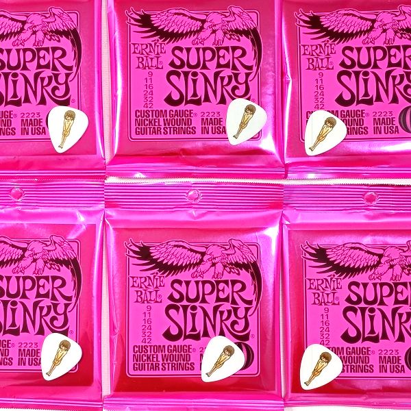 ERNIE BALL Super Slinky #2223購入で“サウンドハウスお姉さんピック”がもらえるキャンペーン開始 その4