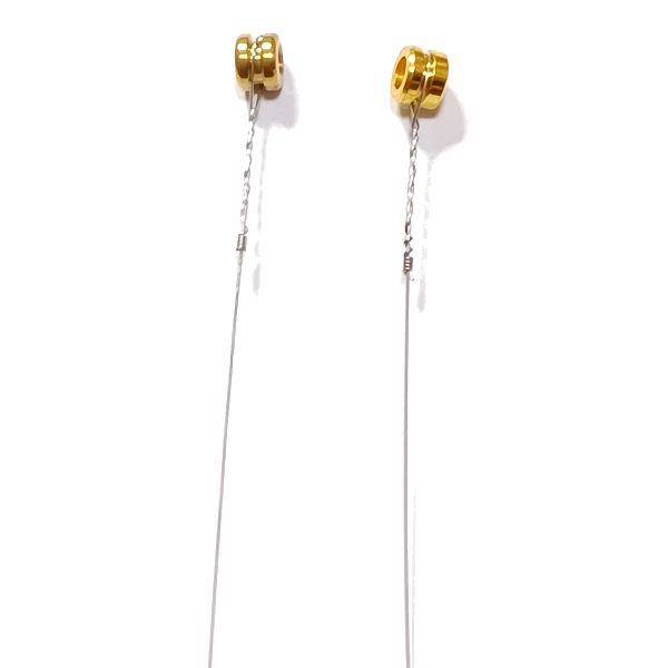 左側：ERNIE BALL / 右側：Aria Pro II