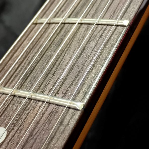1弦のみAria Pro II (アリアプロツー) AGS-8001XL(.009P) をセットしたギターの指板